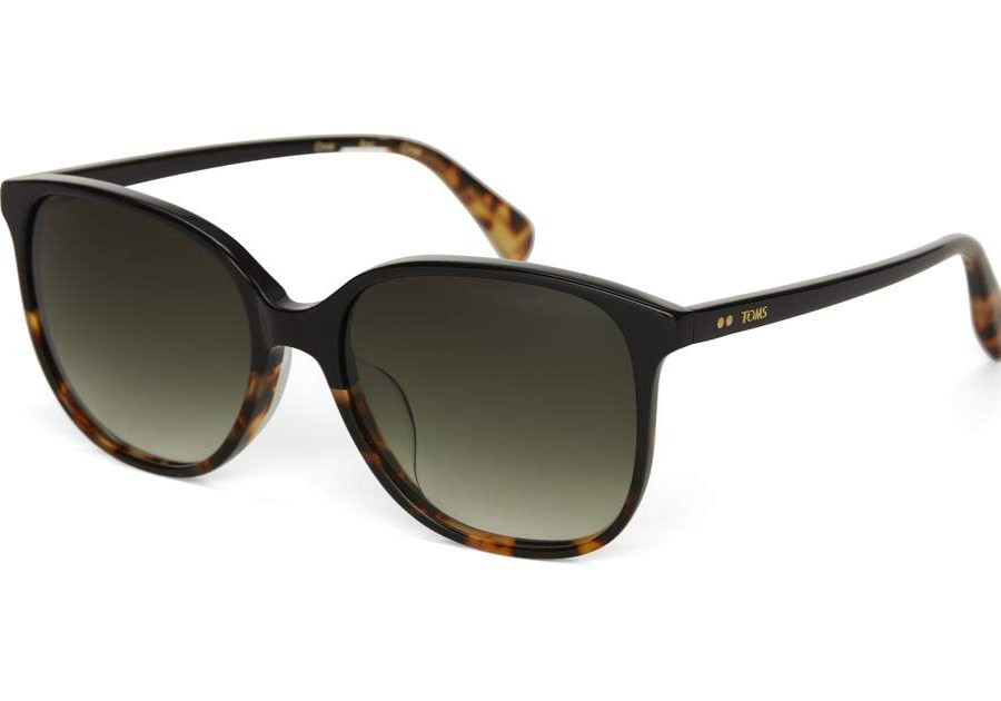 TOMS Sunglasses | Sandela Black Tortoise Olive Lens | Toms