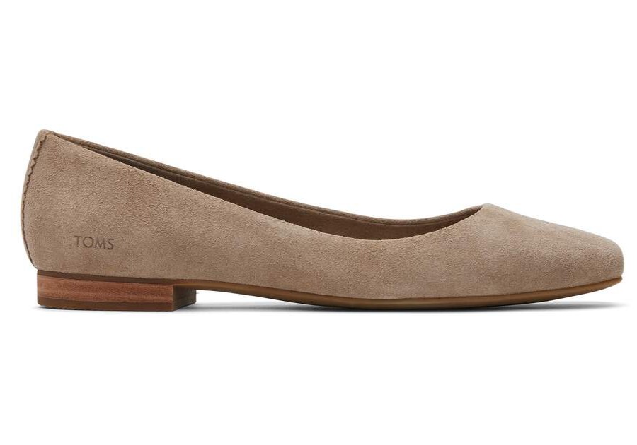 TOMS Dress Casual | Womens Briella Taupe Suede Flat | Toms